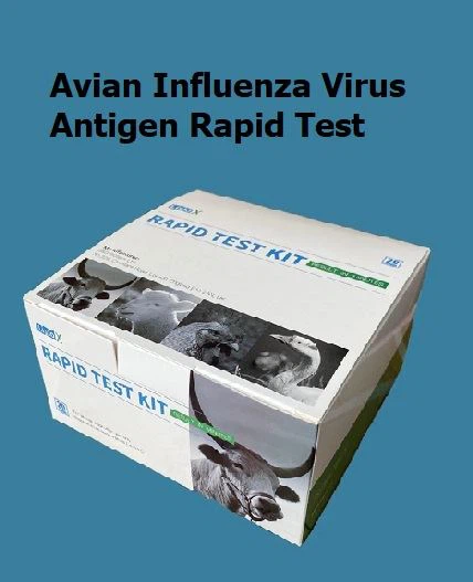 Prova ràpida de l'antigen de la grip Avain